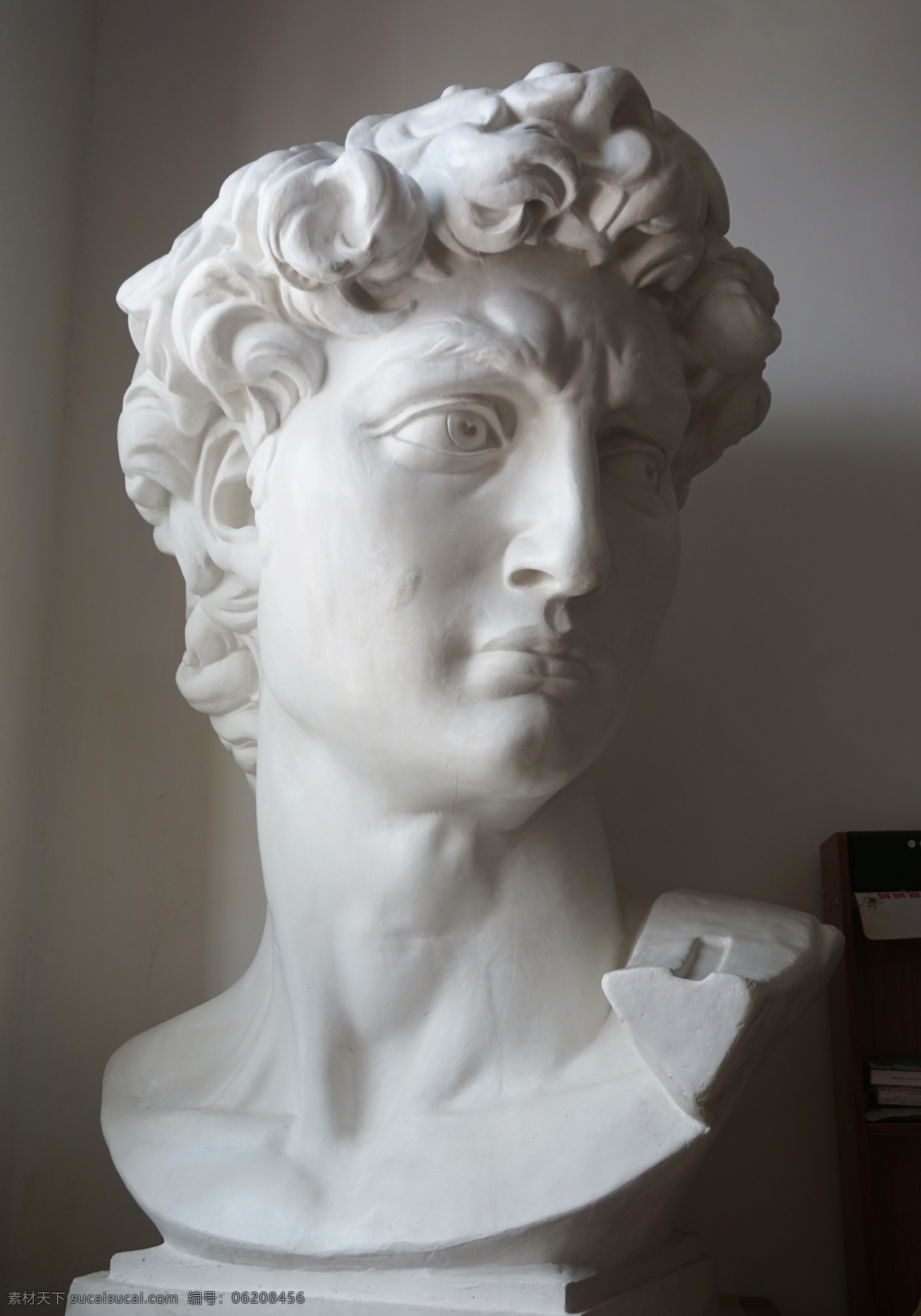 大卫石膏像 石膏 大卫 雕塑 石膏像 古典人物肖像 文化艺术 美术绘画