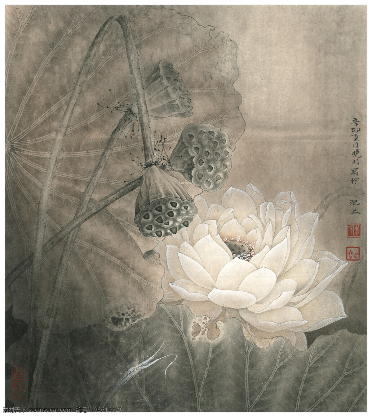 荷花册页亘古 花鸟画 设计素材 花鸟画篇 中国画篇 书画美术 灰色