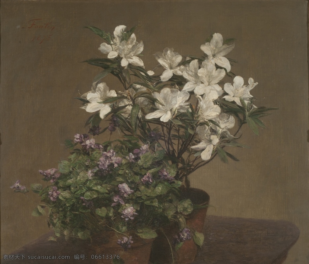 白色 花朵 油画 古典 艺术 文化艺术 绘画书法