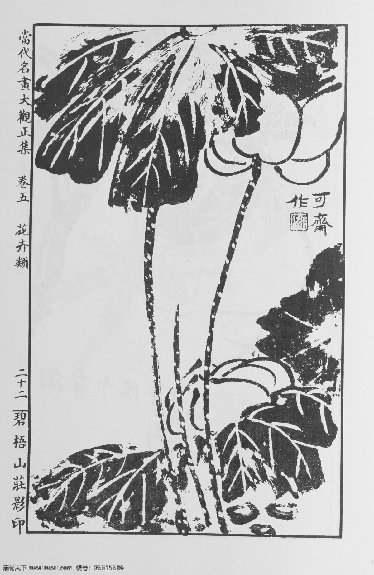 花卉画 中国画 当代 名画 大观 正 集 设计素材 花鸟画篇 中国画篇 书画美术 灰色