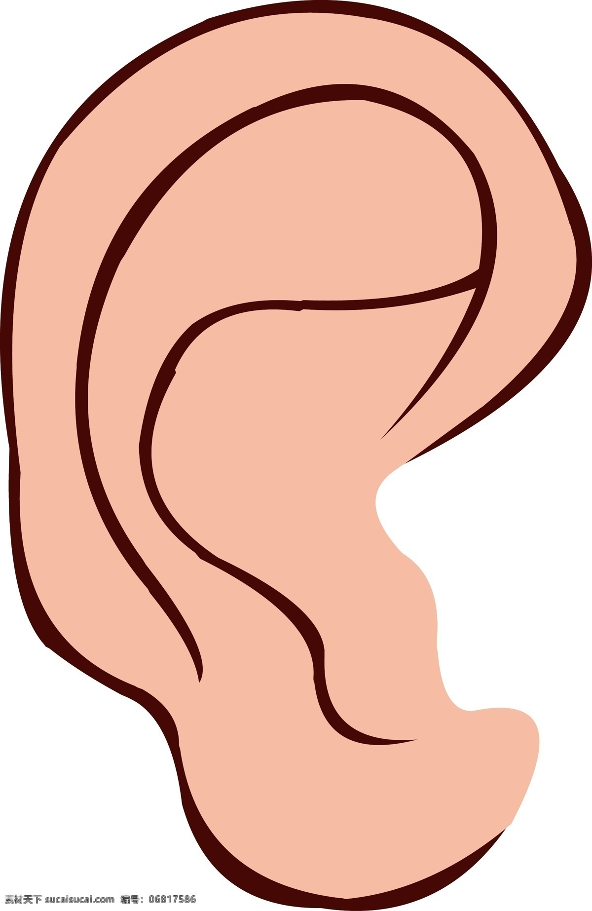 手绘 人体 五官 耳朵 结构 耳朵结构 器官结构 人体器官 矢量器官 器官图 眼耳口鼻 脏器 卡通器官 手绘器官