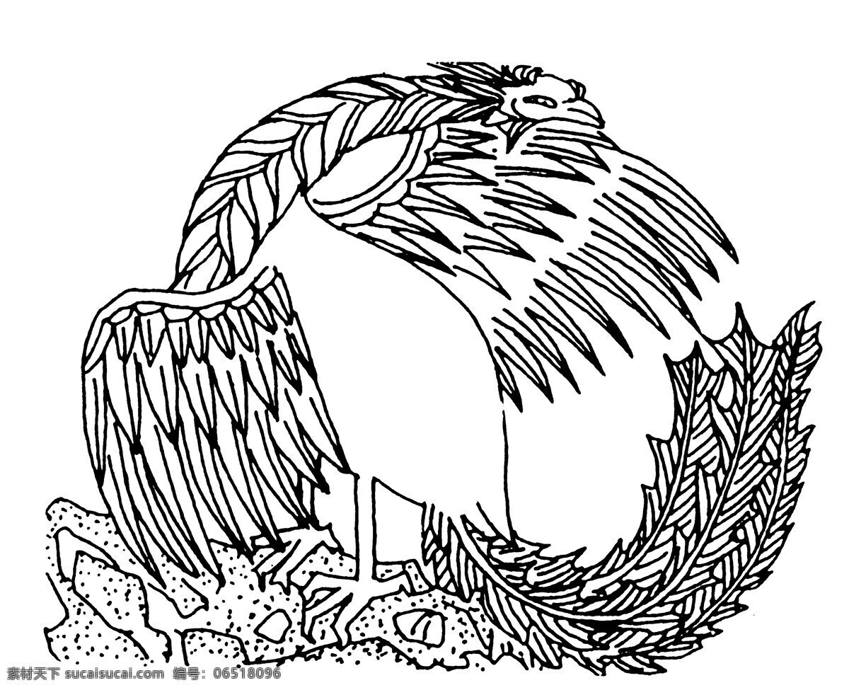 龙凤图案 清代图案 中国 传统 图案 设计素材 龙凤图纹 装饰图案 书画美术 白色
