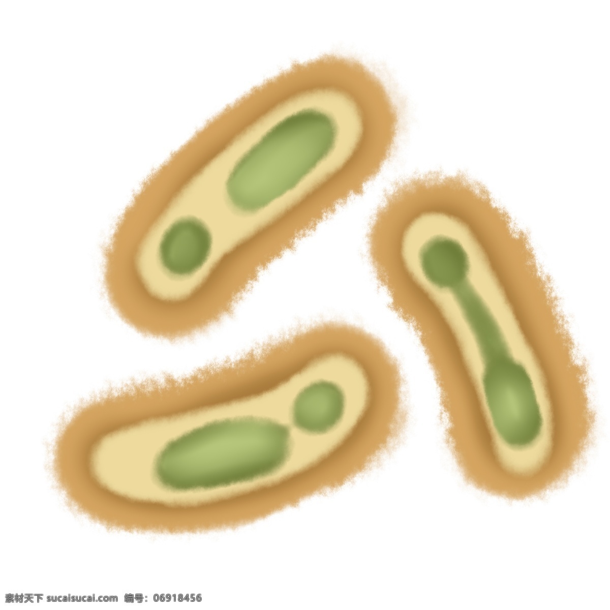 黄色 卡通 杆菌 插画 杆菌插画 黄色杆菌 生物杆菌 卡通细菌插画 细菌插画 创意细菌插画 绿色的内在