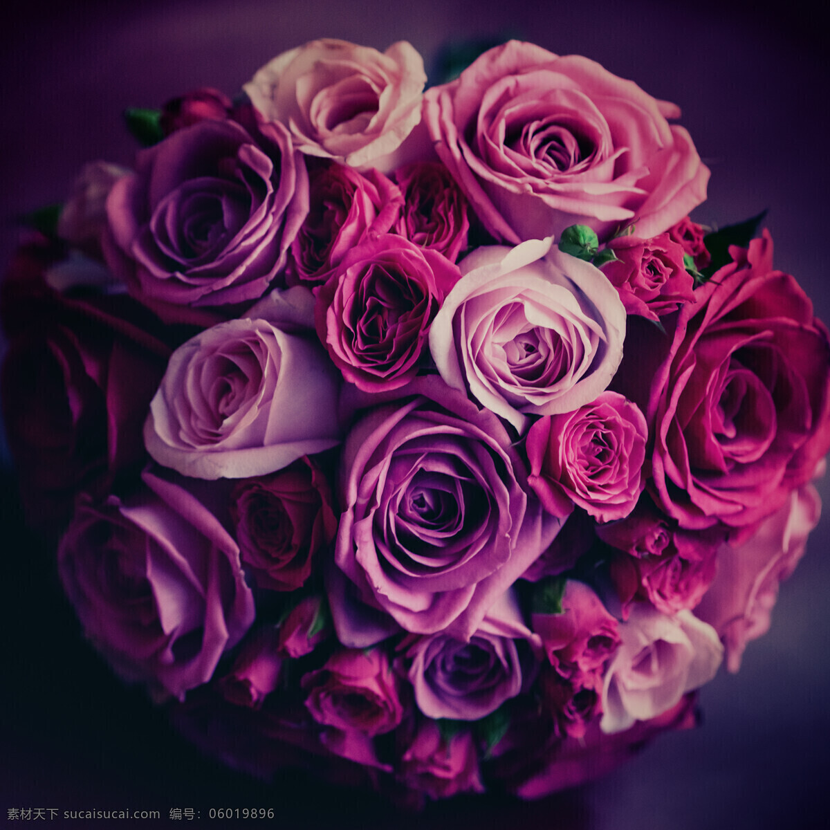 美丽 玫瑰花 摄影图片 花束 美丽鲜花 花卉 美丽花朵 婚礼花朵 婚礼鲜花 其他类别 生活百科 黑色