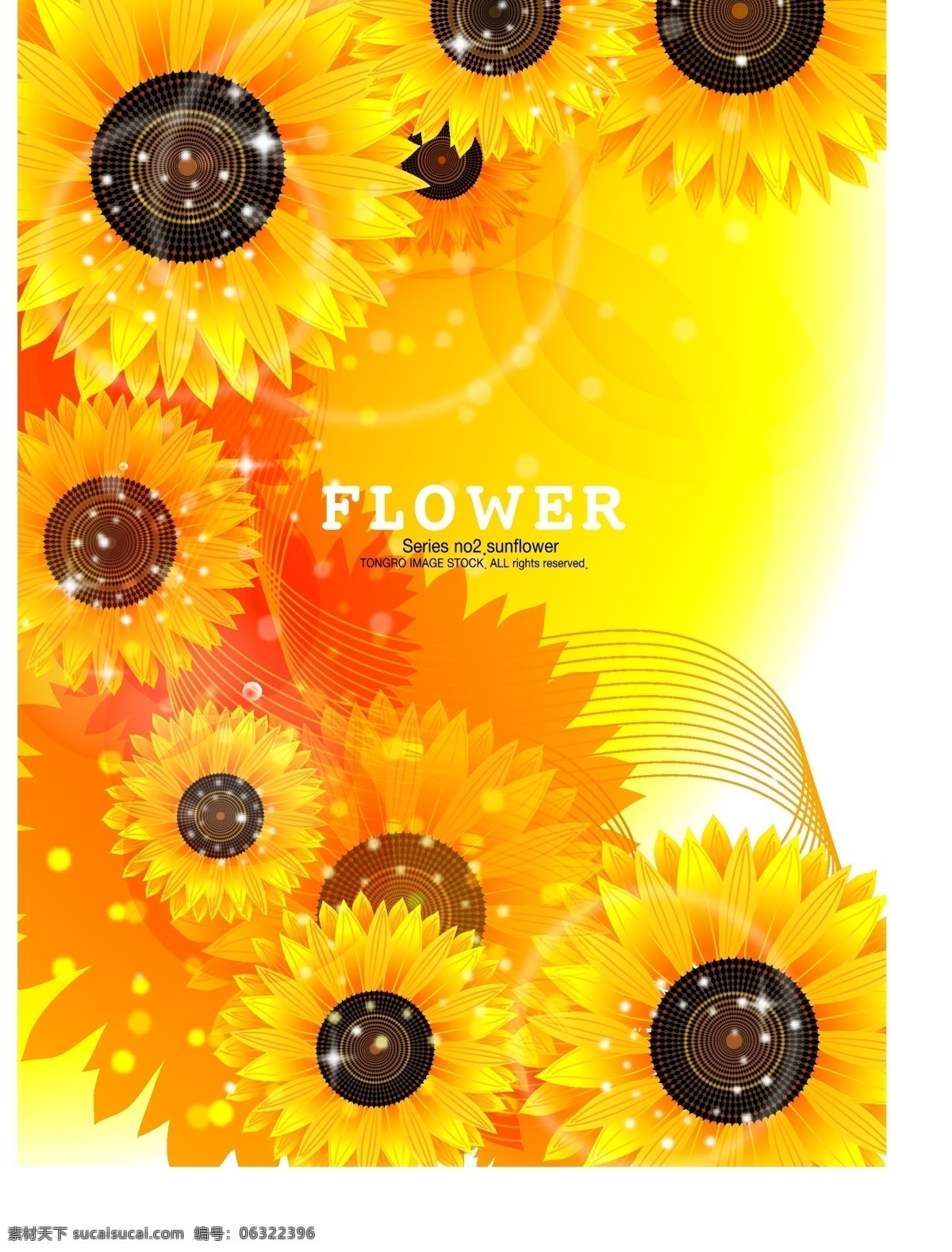 款 精美 艳丽 鲜花 背景 矢量 百合 花束 菊花 玫瑰 手绘 装饰 矢量图 花纹花边