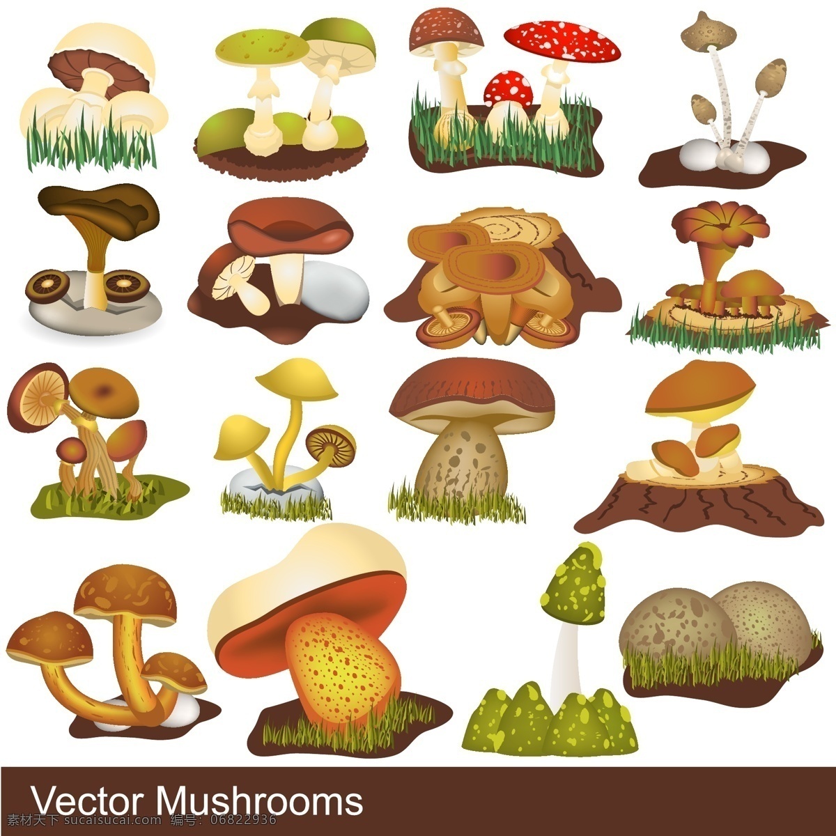蘑菇矢量素材 蘑菇模板下载 矢量蔬菜 卡通蔬菜 新鲜蔬菜 蘑菇 菌类 餐饮美食 生活百科 矢量素材 白色