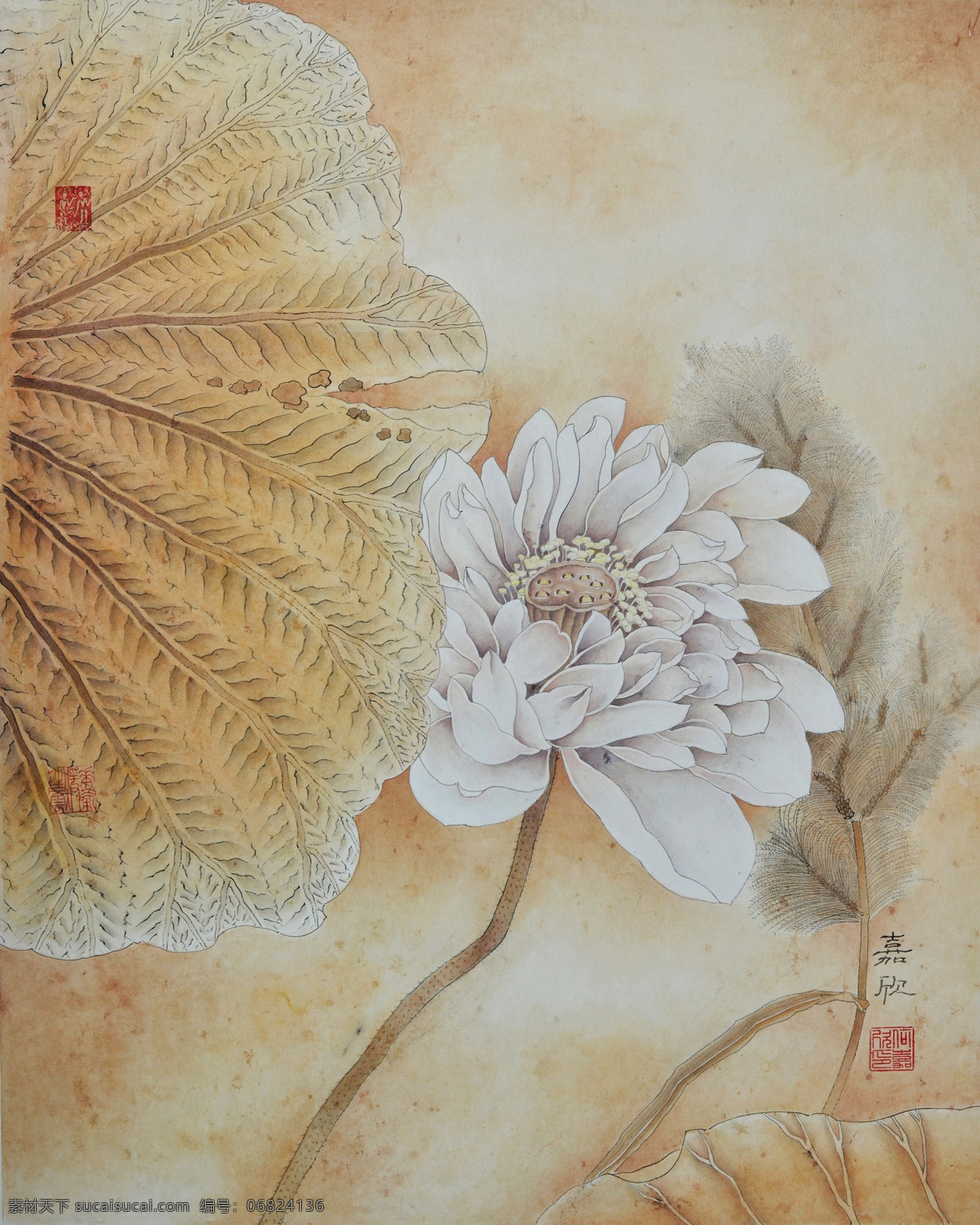 夏莲 美术 中国画 工笔画 花卉画 莲花 国画艺术 绘画书法 文化艺术