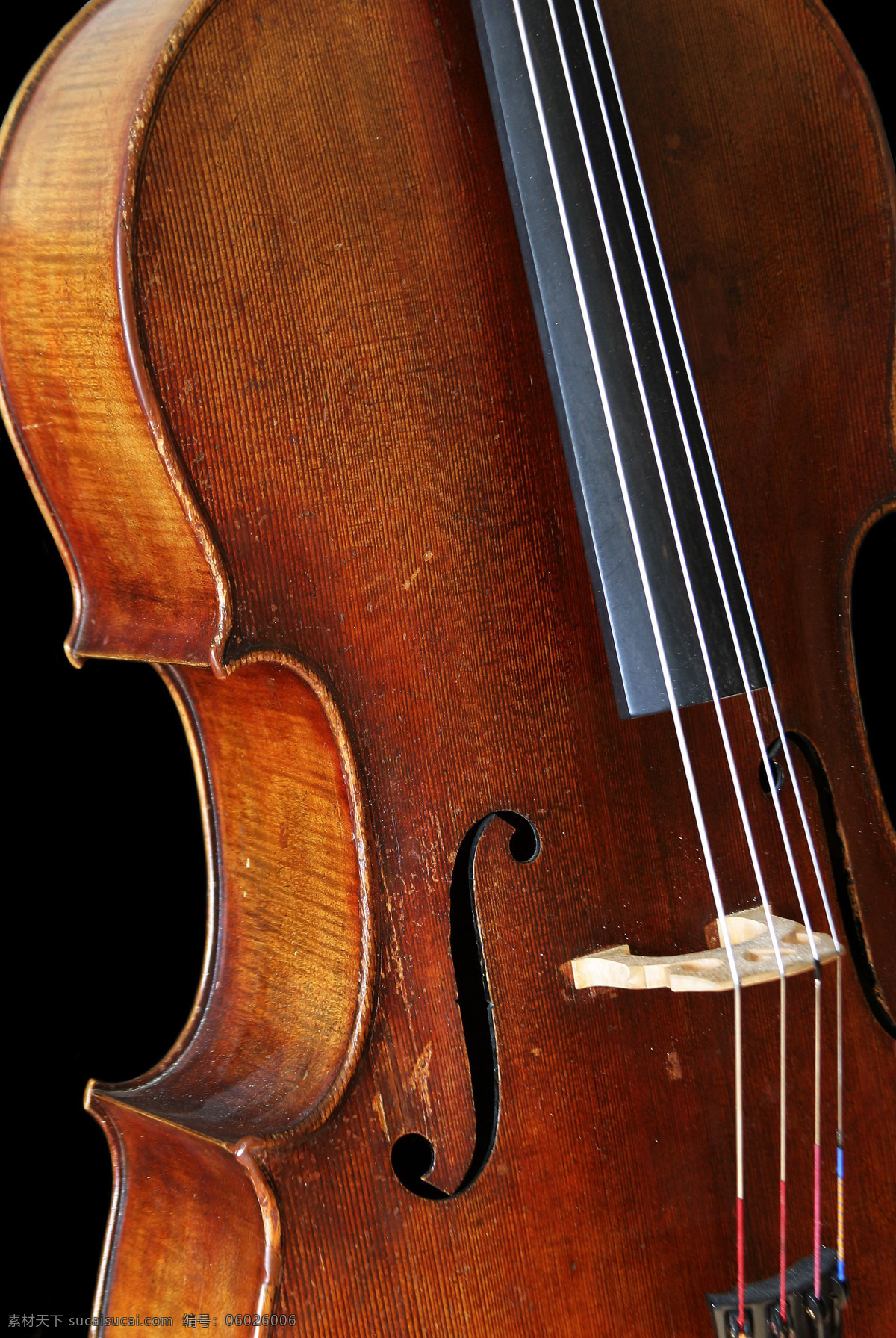 琴身 琴弦 音乐 艺术 乐器 弦乐器 小提琴 文化艺术 舞蹈音乐 摄影图库