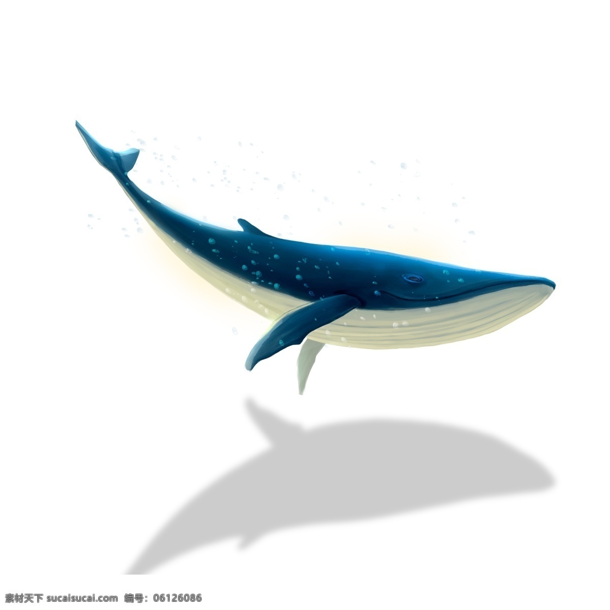 蓝色 鲸鱼 图案 元素 鱼 鲨鱼 卡通鲸鱼 蓝鲸 设计元素 手绘 创意元素 手绘元素 psd元素