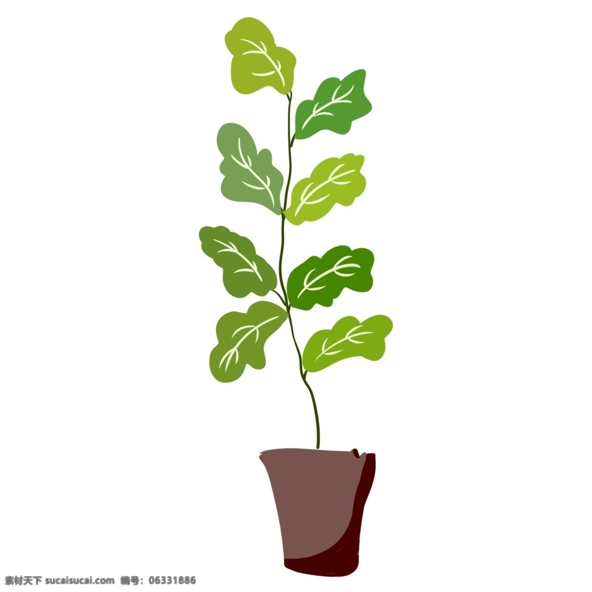漂亮 绿色植物 插画 绿色的植物 卡通插画 盆栽插画 绿植插画 植物插画 绿色插画 漂亮的植物