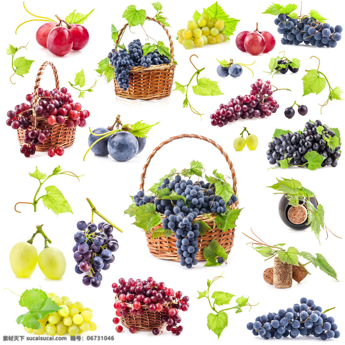 黄葡萄 紫葡萄 绿葡萄 红葡萄 提子 红提 黑葡萄 水果 新鲜水果 维生素 营养 食品 食物 进口葡萄 生态葡萄 有机葡萄 餐饮美食 食物原料