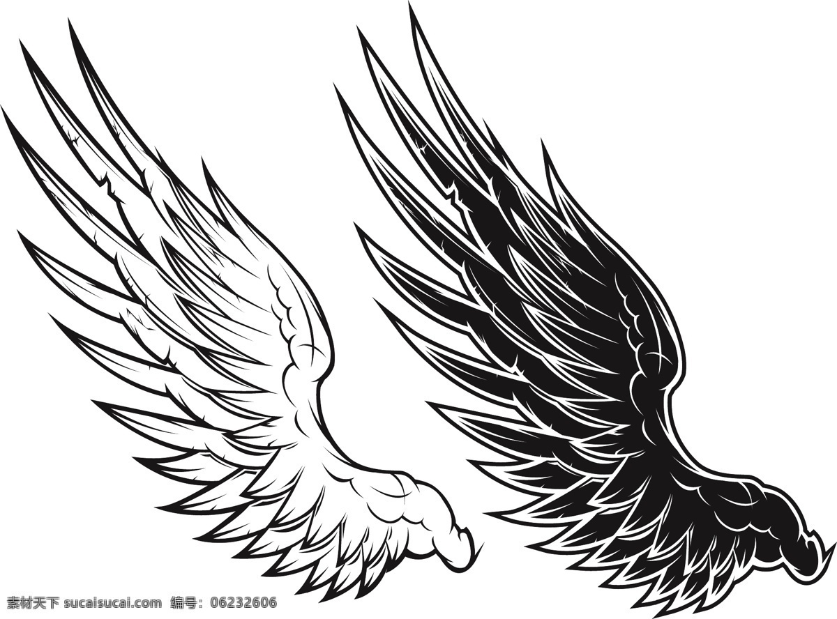 黑白 矢量 翅膀 黑色的翅膀 白色的翅膀 矢量图