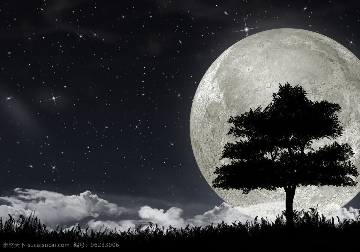 月与树 星空 草原 满月 树 云 暗蓝 风景漫画 动漫动画