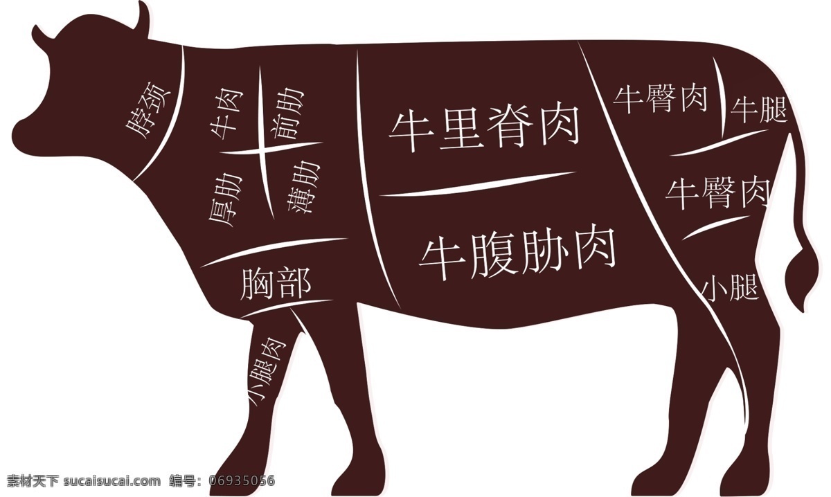 牛肉分割图 牛肉的分割图 牛肉 分布图 牛肉分部 肉类展板 牛分解图 肥牛展板