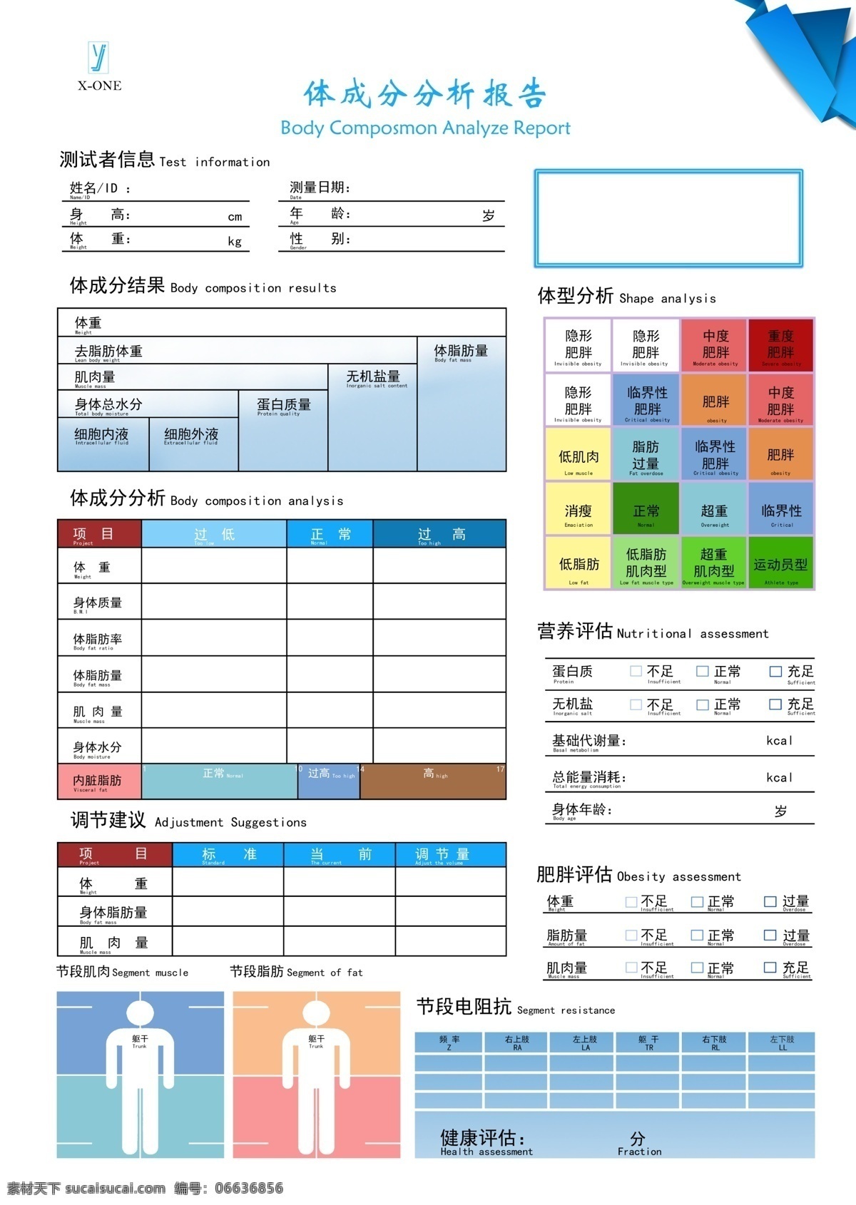 健身表格 体测表格 人体成分 分析报告 体态