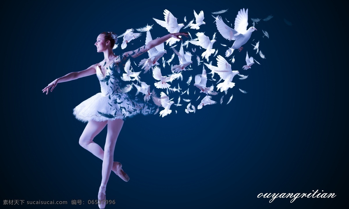 芭蕾 舞蹈 宣传海报 芭蕾舞蹈 芭蕾舞蹈海报 梦幻芭蕾海报 芭蕾宣传