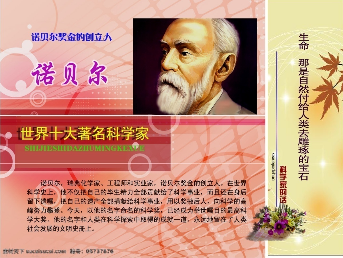 枫叶 花 环境设计 黄色边框 诺贝尔 室内设计 源文件 模板下载 诺贝尔画像 粉红色 网格 状 背景 诺贝尔简介 诺贝尔名言 世界 十大 科学家 家居装饰素材