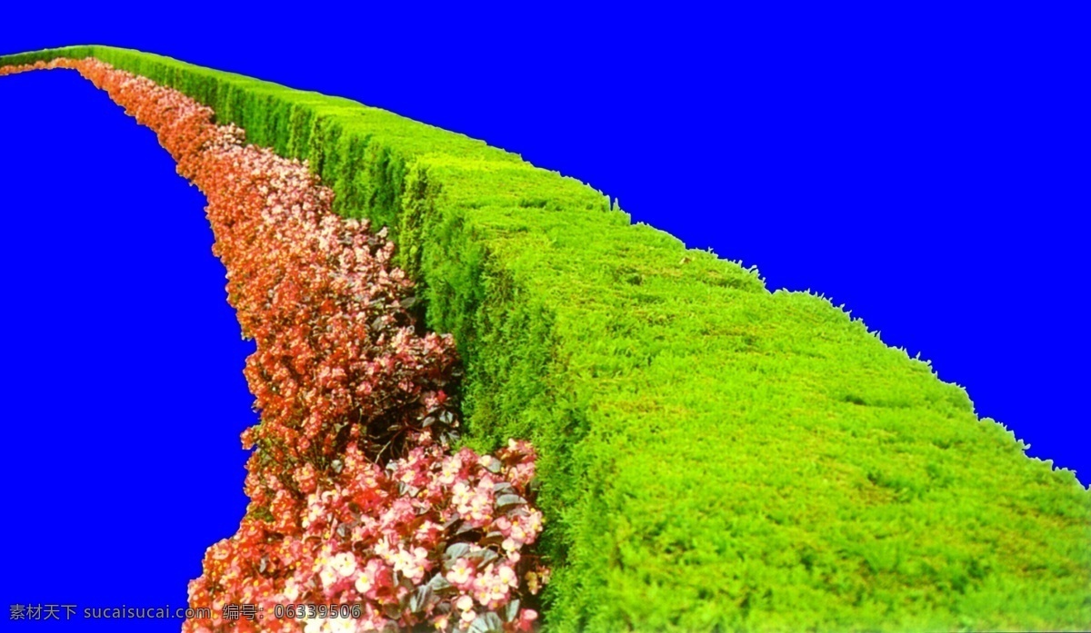 灌木 147 效果图 植物 配景 园林植物 配景素材 园林 建筑装饰 设计素材 3d模型素材 室内场景模型
