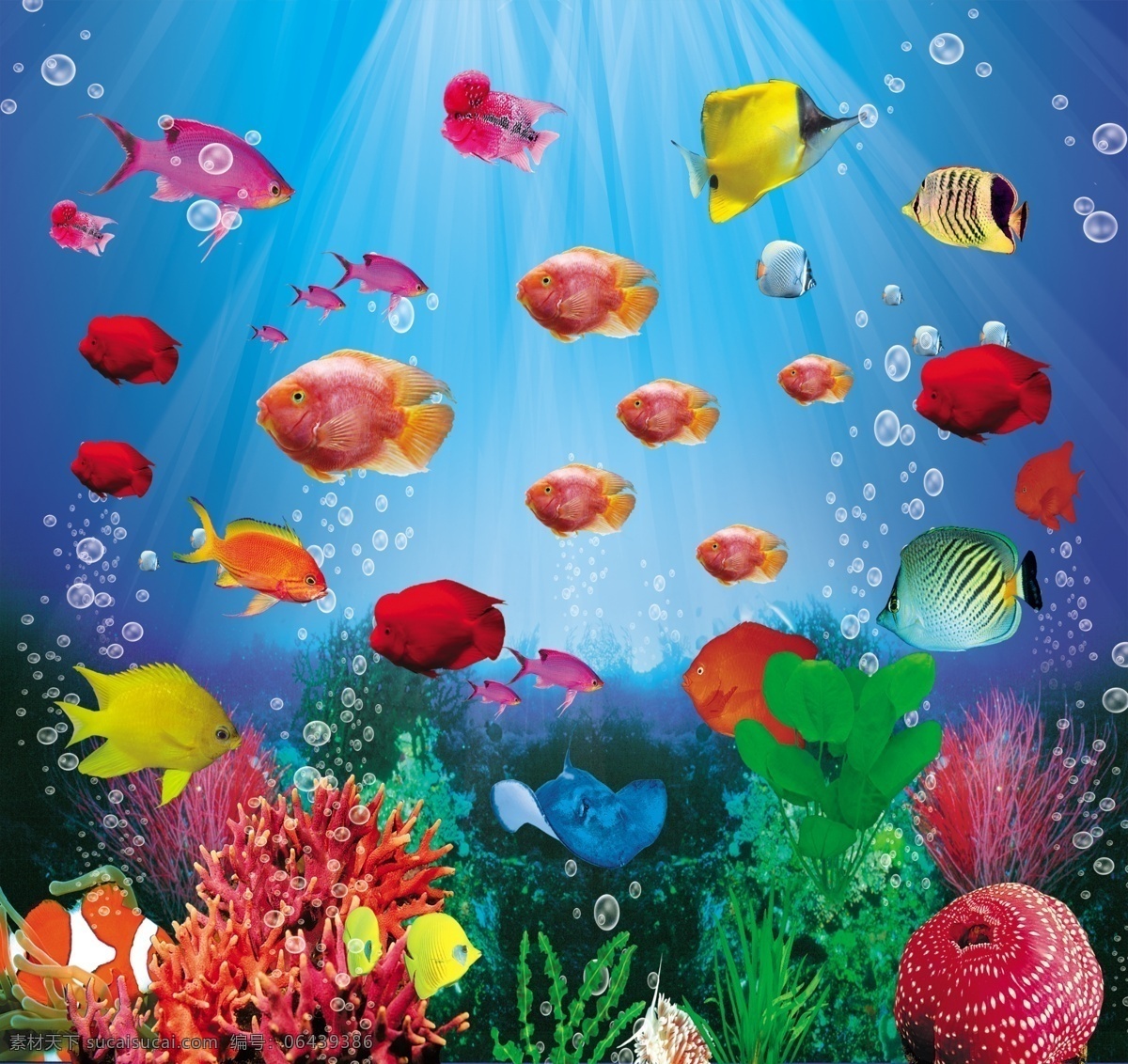 热带鱼 分层 水族馆 水族箱背景 鱼 鱼类 源文件 热带鱼类 生物世界