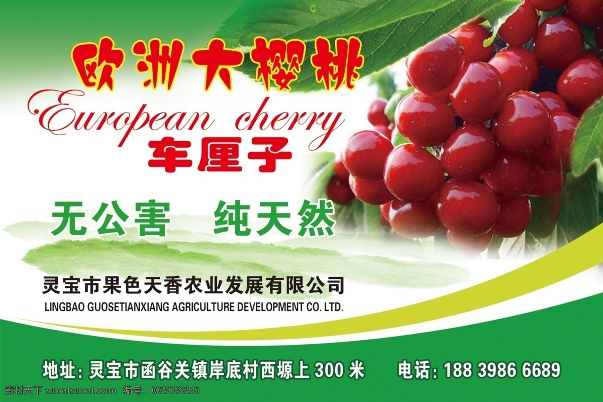 樱桃标签 樱桃 标签 不干胶 标示 卖樱桃
