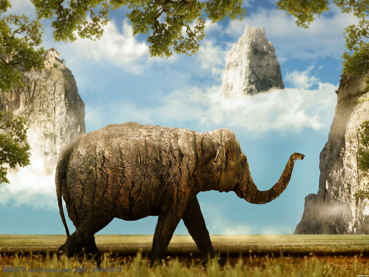 神话大象 象 大象 仙界 神奇 草原