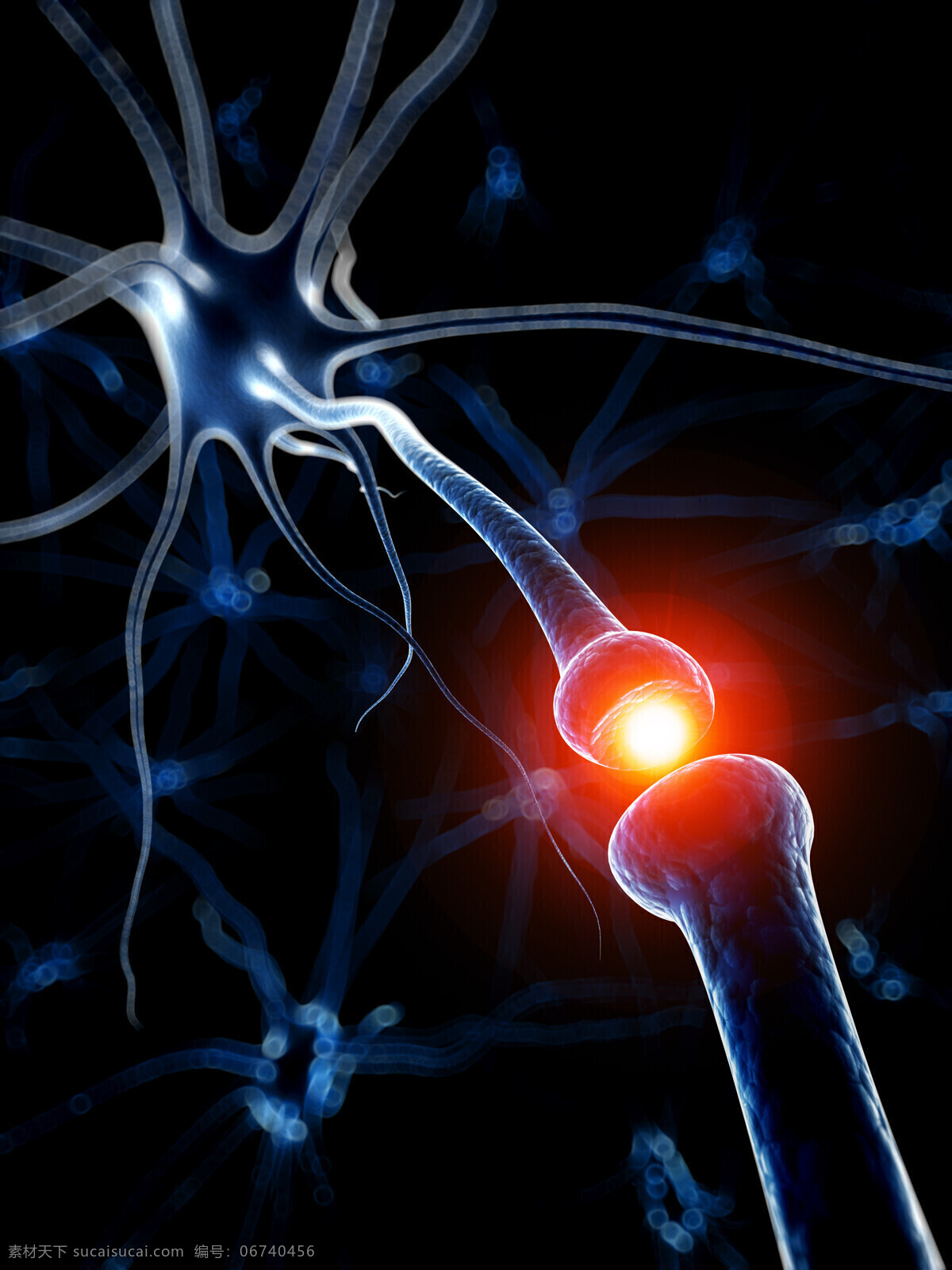 神经元 经元 神经 触觉神经 大脑神经 医学 科学研究 现代科技