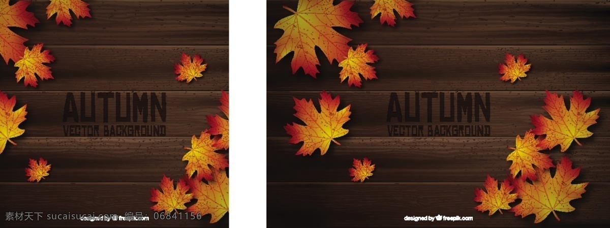 木板上的秋叶 背景 花卉 树叶 自然 花卉背景 可爱 秋天 五颜六色 板 优雅 丰富多彩 现代 树木 色彩 自然背景 乐趣
