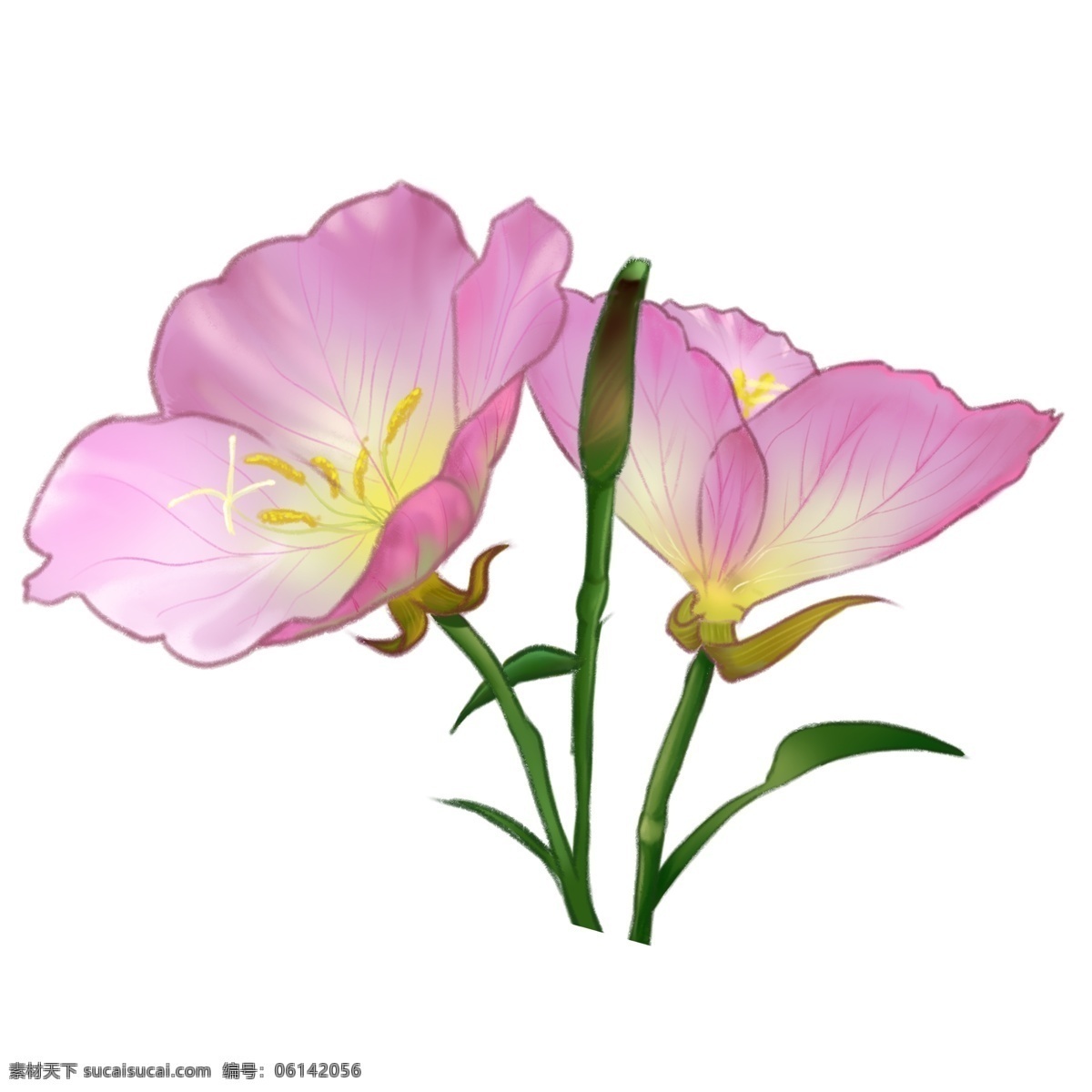 手绘 粉色 花卉 透明 小碎花 鲜花 绿色 叶子 png元素 装饰图案