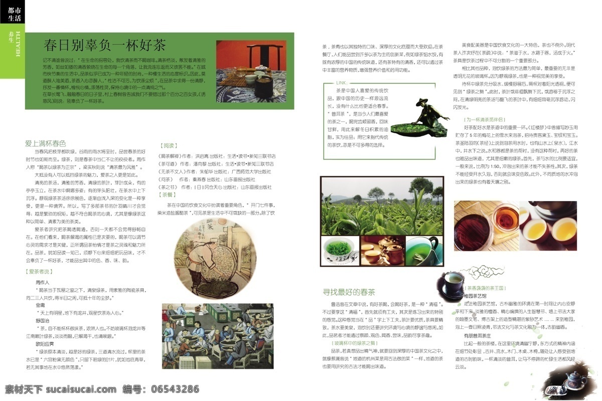 杂志 版式 茶 广告设计模板 画册设计 绿茶 普洱茶 源文件 杂志版式茶 晒茶 其他画册封面