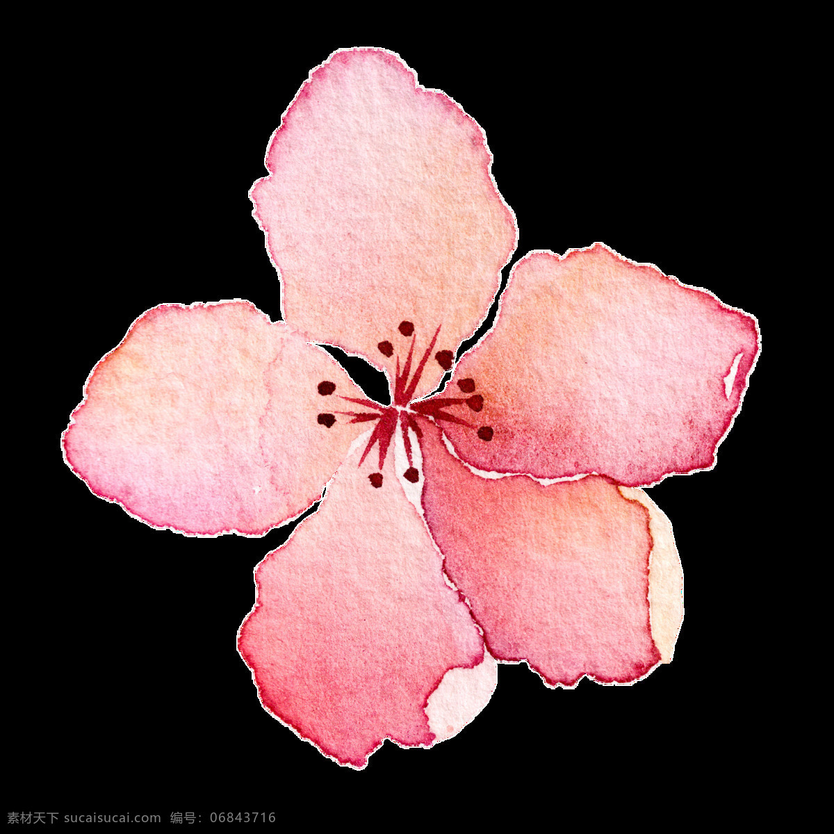 粉色 花蕊 透明 装饰 粉红 花朵 免扣素材 透明素材 装饰图案