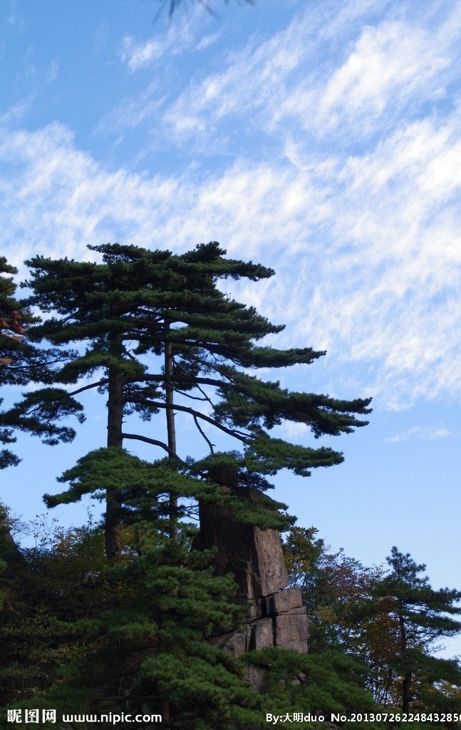 黄山 安徽 黄山松 松树 挺拔 蓝天 白云 怪石 巨石 国内旅游 旅游摄影