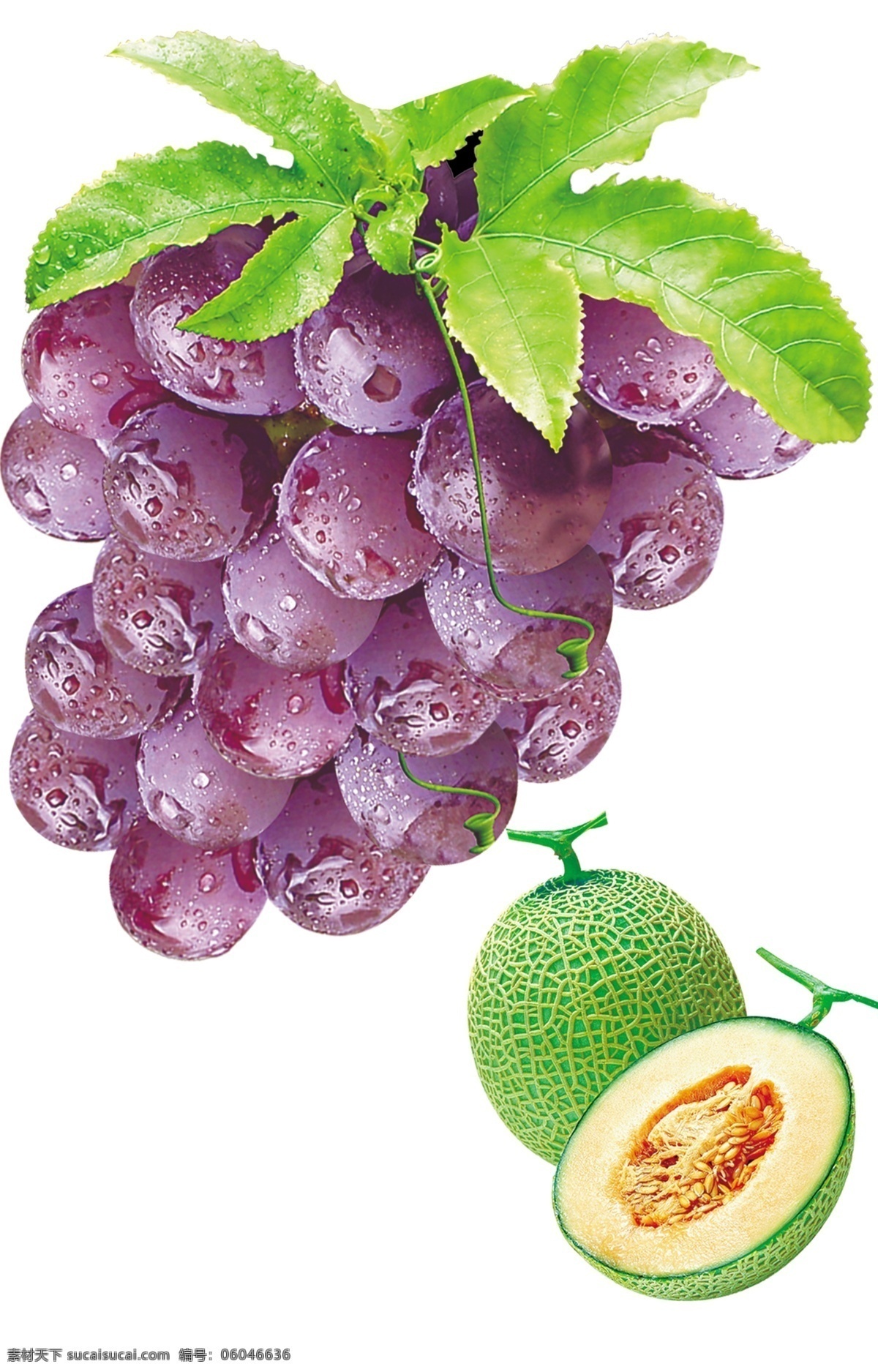 紫串葡萄 整个 半个哈密瓜 带叶子的葡萄 整个哈密瓜 半边哈密瓜 分层 源文件