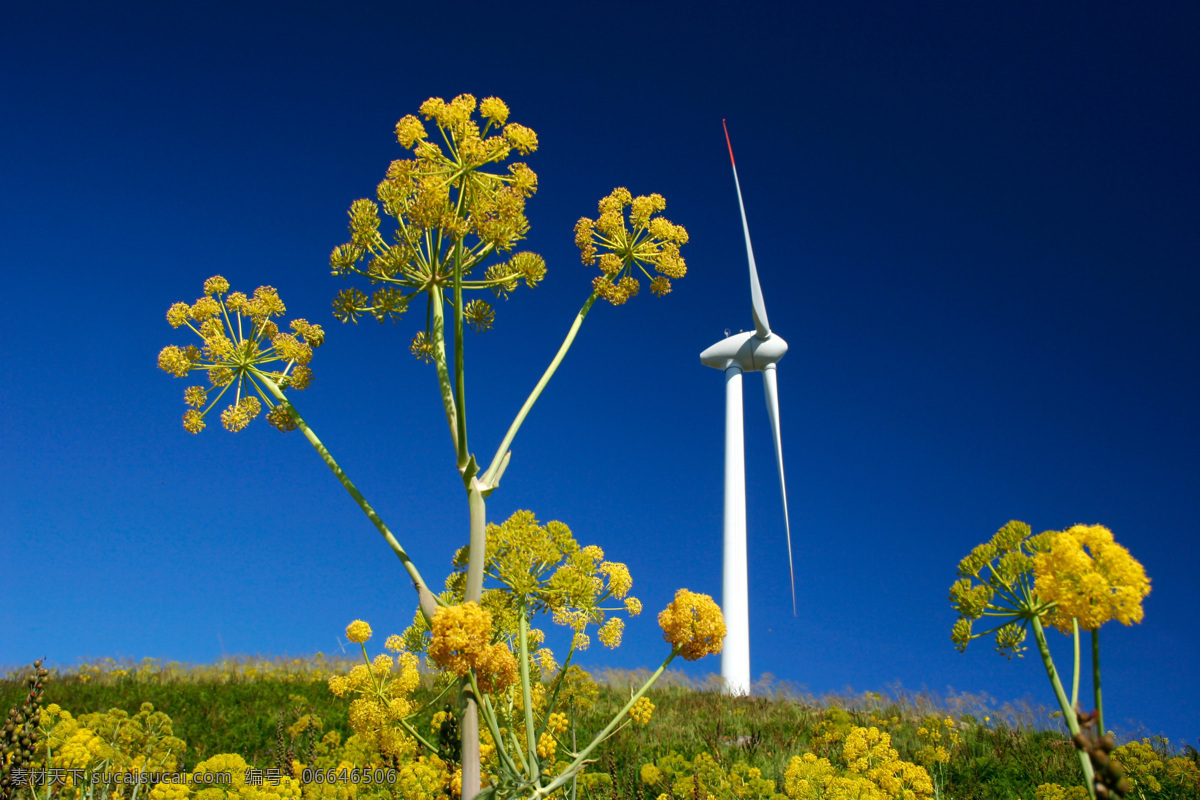 风车 电力风车 风力发电 蓝天 油菜花 清洁能源 绿色环保 绿色能源 绿色电力 环保 大风车 工业生产 自然风光 可再生能源 环保能源 现代科技