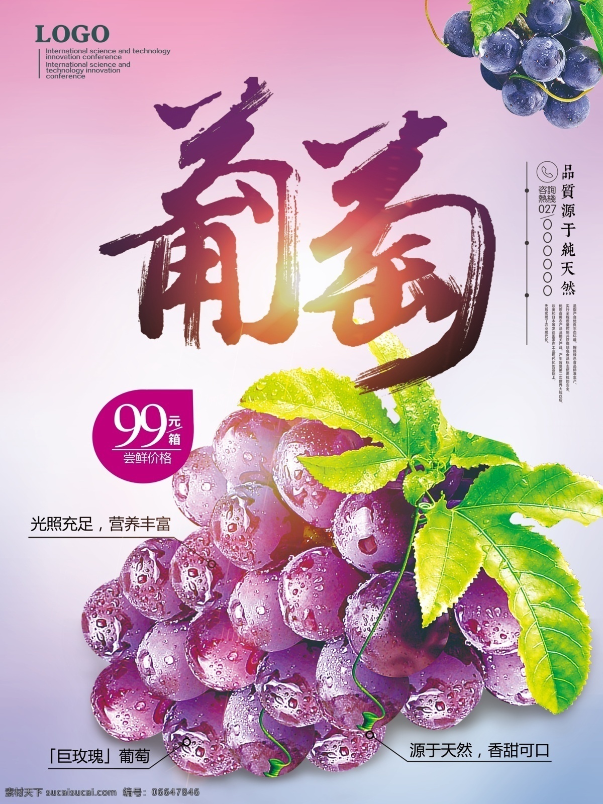 葡萄 海报 新鲜葡萄 新鲜葡萄海报 葡萄上市 提子 葡萄熟了 葡萄采摘 葡萄提子 葡萄红提 葡萄黑提 葡萄广告 葡萄展板 红缇 葡萄采摘节 葡萄园 摘提子 葡萄庄园 葡萄红酒 葡萄节开幕 有机葡萄 葡萄批发 葡萄节 葡萄农业 生态葡萄 吐鲁番葡萄 水果类