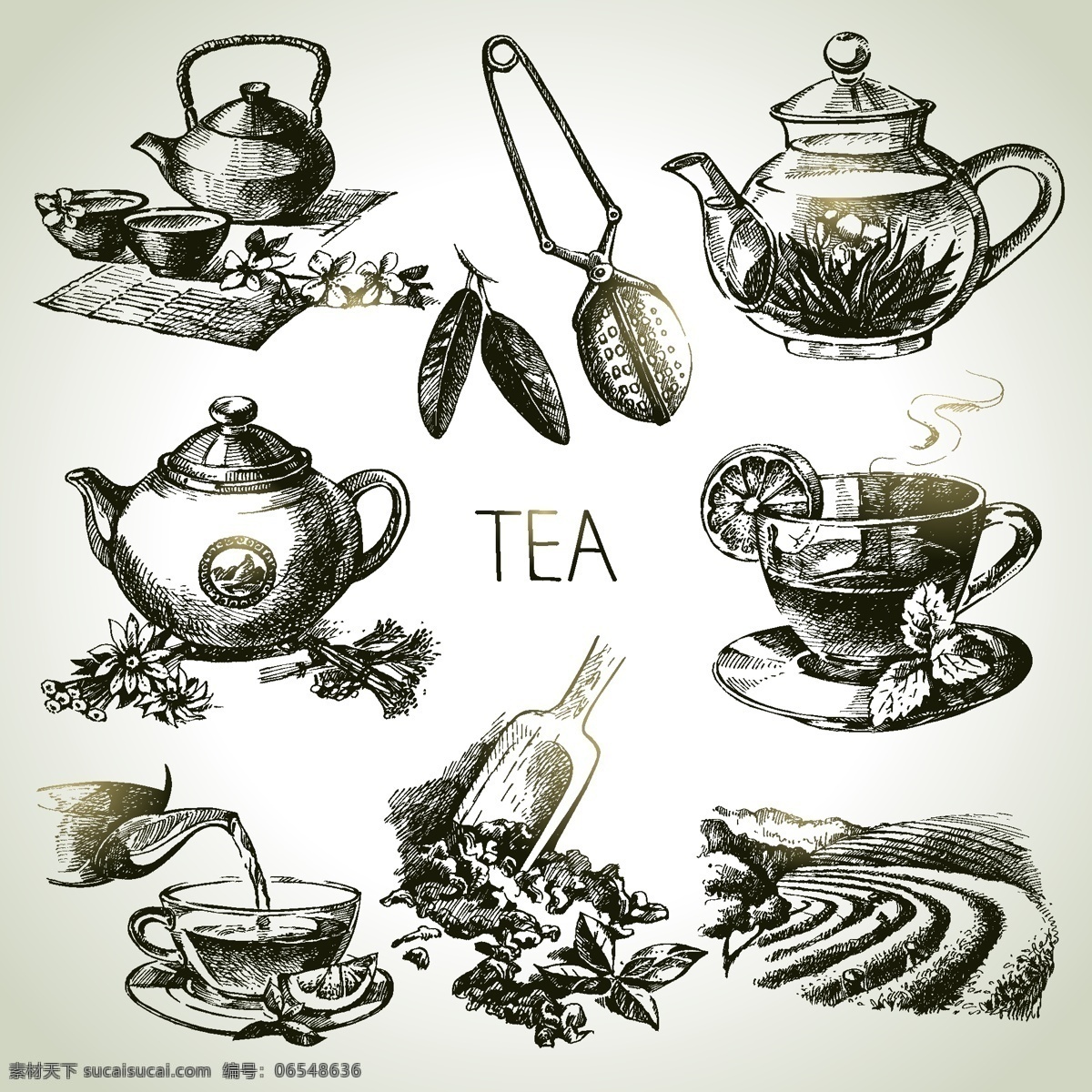 手绘 茶道 元素 插画 黑白 茶壶 杯子 绿茶 水果茶 传统