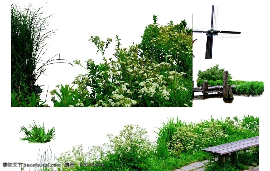 小黄花 后期素材 ps植物 灌木 花草 ps后期素材 写实 树木 植物 近景 绿篱 棕榈 鸡蛋花 玫瑰花 牡丹花 鲜花 红花 草地 分层