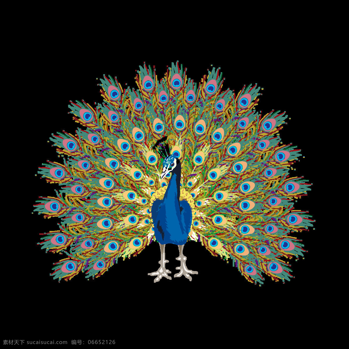 卡通 时尚 创意 唯美 孔雀 手绘 可爱 孔雀开屏 树枝上的孔雀 美丽的孔雀 绿色 动物 插画 羽毛 小鸟