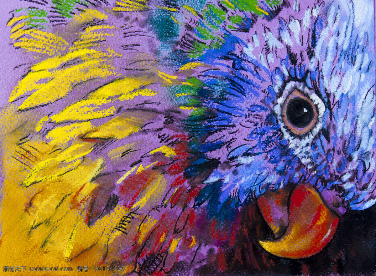 飞鸟 飞禽 鸟类动物 动物摄影 鸟类摄影 空中飞鸟 生物世界 卡通油画 鸟类油画 彩色鹦鹉油画 黑色