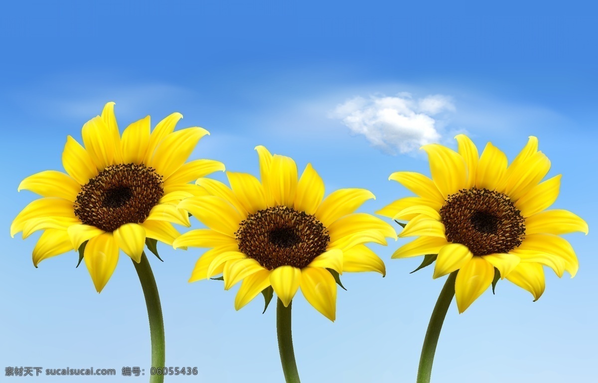 矢量向日葵 卡通向日葵 手绘向日葵 向日葵插画 黄色花朵 花朵插画 卡通花朵 手绘花朵 蓝天 白云 云朵 花 生物世界 花草