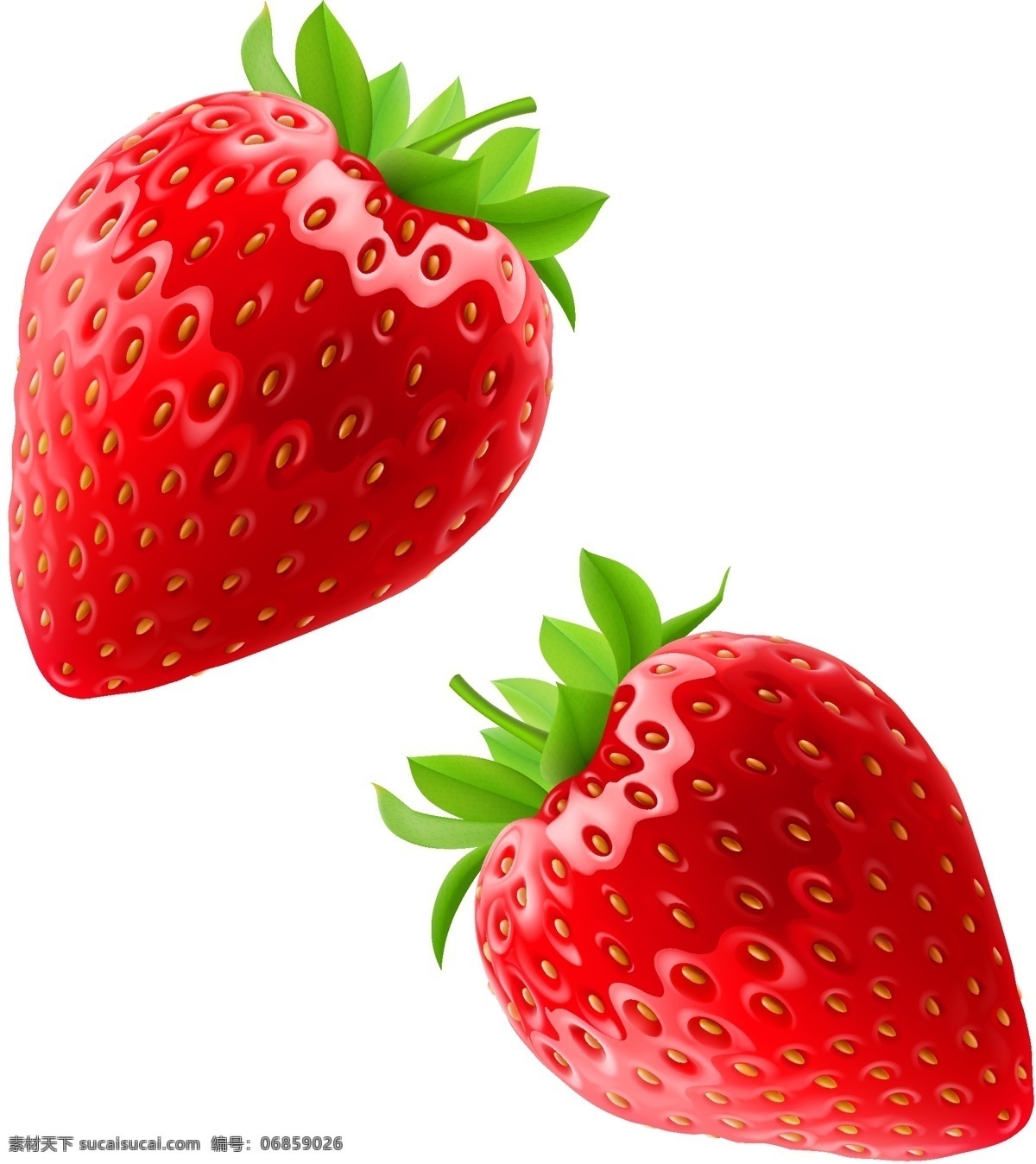 红色草莓矢量 草莓矢量素材 草莓 矢量素材 矢量 绿叶 水果 红色草莓 水果蔬菜素材 生物世界