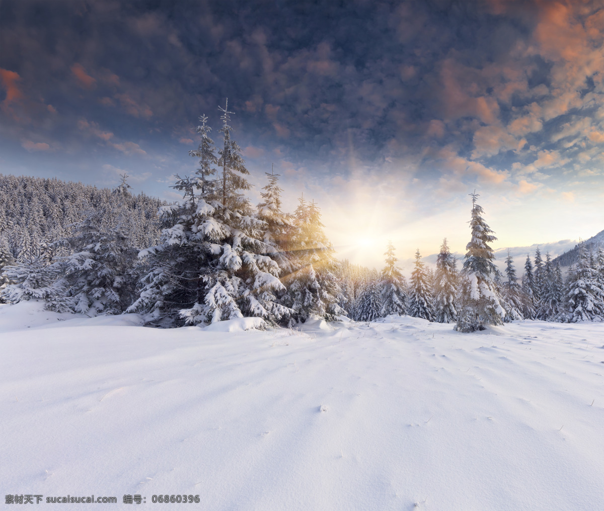 傍晚 时分 美丽 树林 雪地 傍晚时分 美丽的树林 树木 云朵 美景 雪景 山水风景 风景图片
