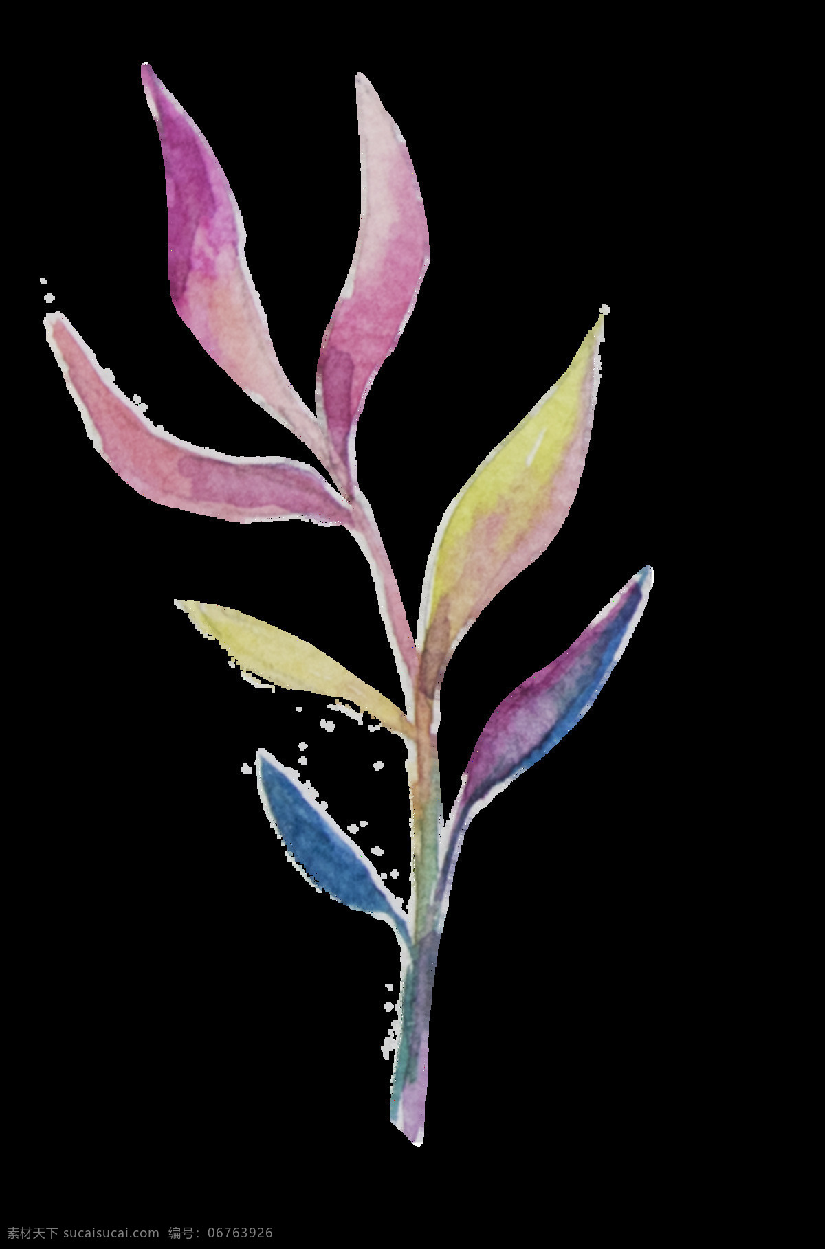 五彩 枝叶 透明 装饰 彩色 花枝 免扣素材 透明素材 装饰图案