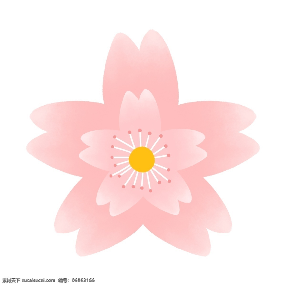 朵 卡通 粉红色 盛开 樱花 粉白 花 花蕊 花朵 开花 唯美 粉色的花 桃花节 樱花节 桃花 美丽的花 春天