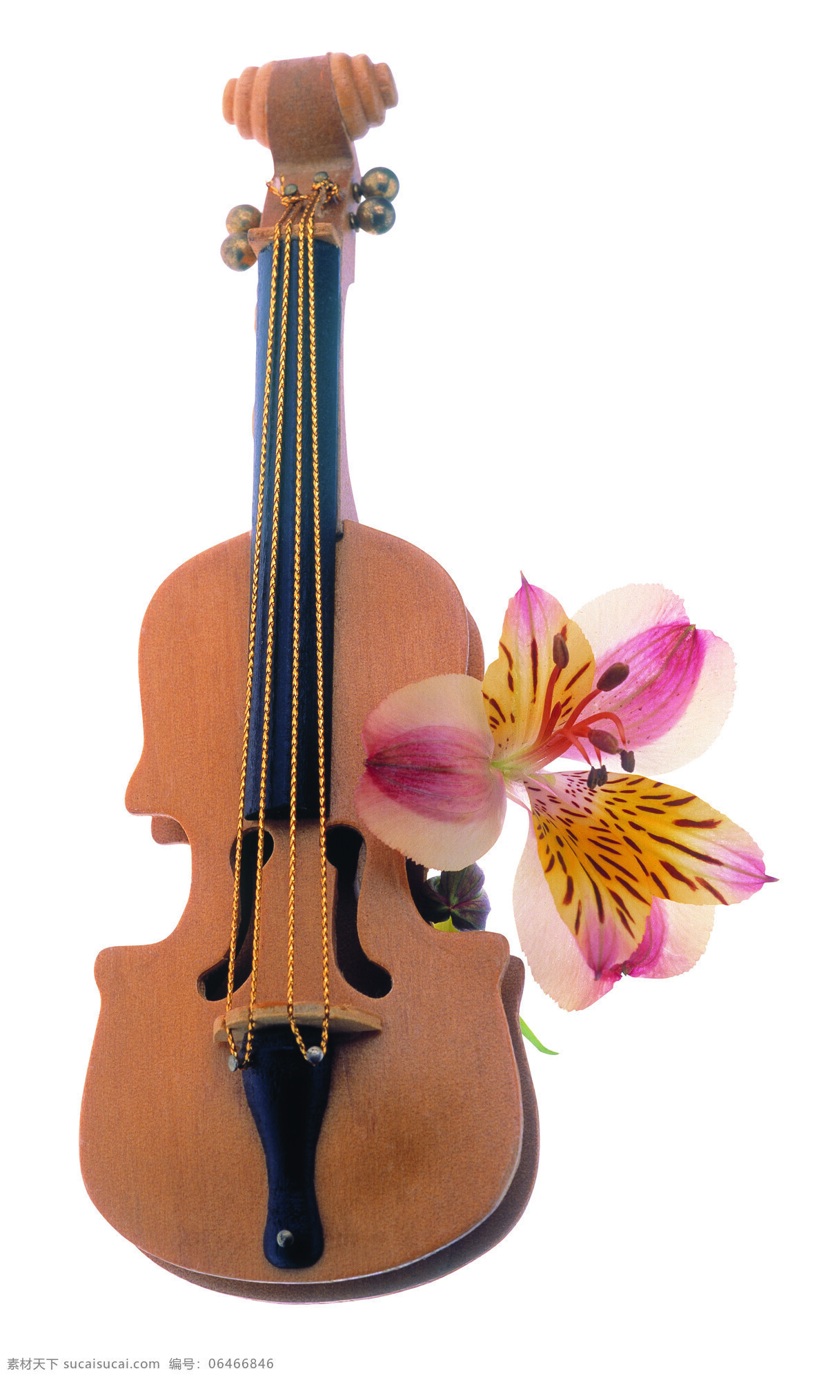 音乐时光 鲜花 乐器 手提琴 音乐 美好回忆 文化艺术