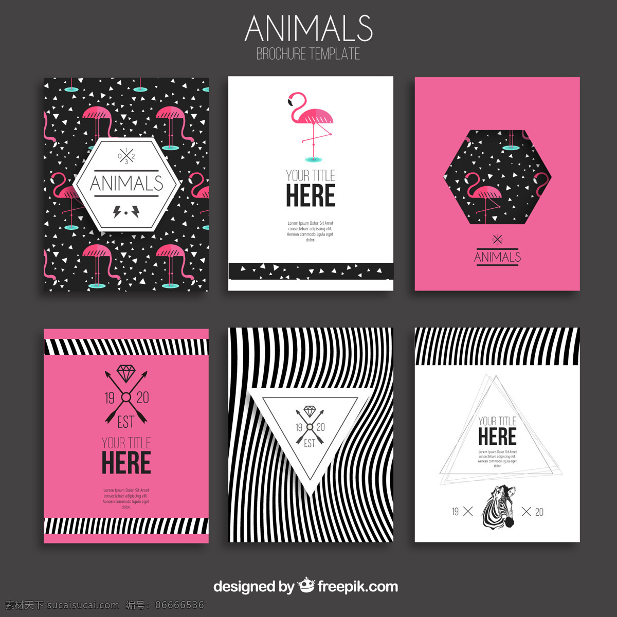 动物简介 小册子 传单 时髦 模板 动物 粉红 小册子模板 黑色的条纹 传单模板 现代 斑马 火烈鸟 白色