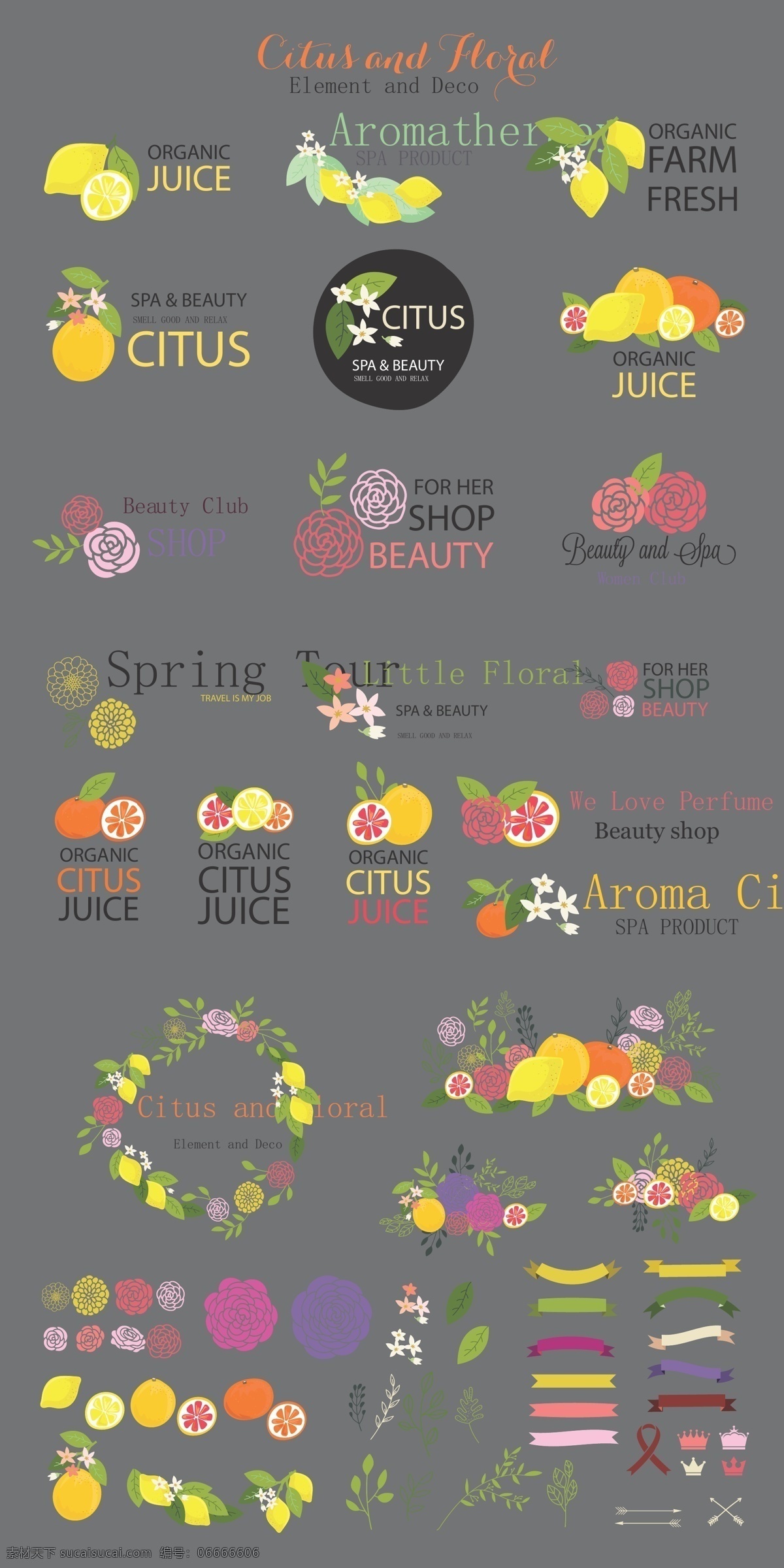 创意 时尚 水果 图标 水彩 柠檬 花朵 桔子