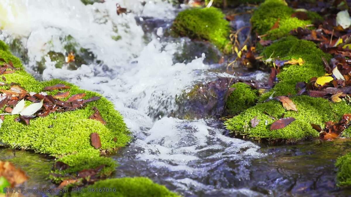 慢溪1 自然 小溪 流动 河 水 岩石 苔藓 在户外 荒野 春天 新鲜的 山 木材 伍兹 林地 森林 宁静 安宁 慢动作 子弹时间 生态的 生态学 环境 环境的