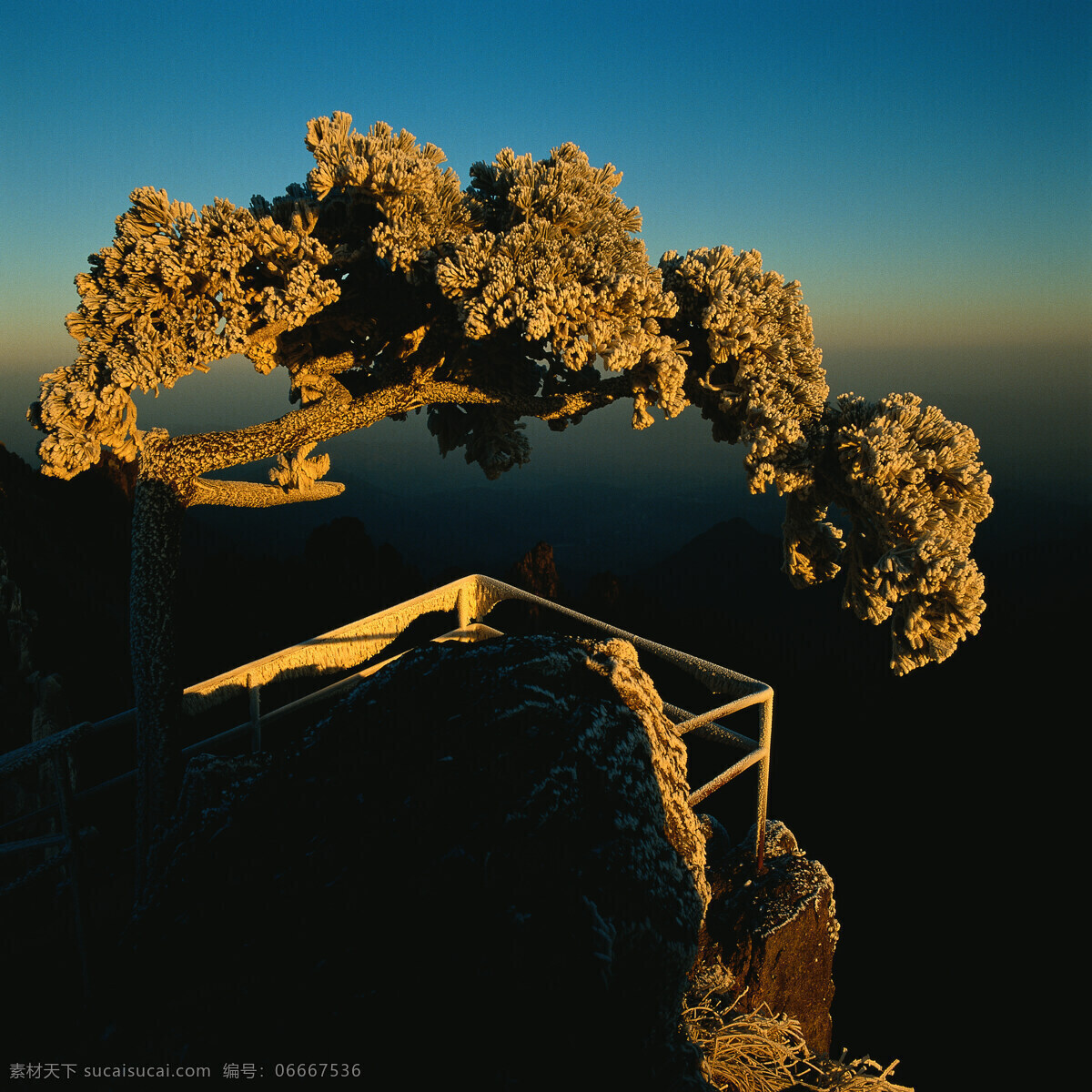 旅游景区 大自然 自然风景 美丽风景 美景 景色 风景摄影 旅游风景 旅游奇观 奇山怪石 迎客松 山水风景 风景图片