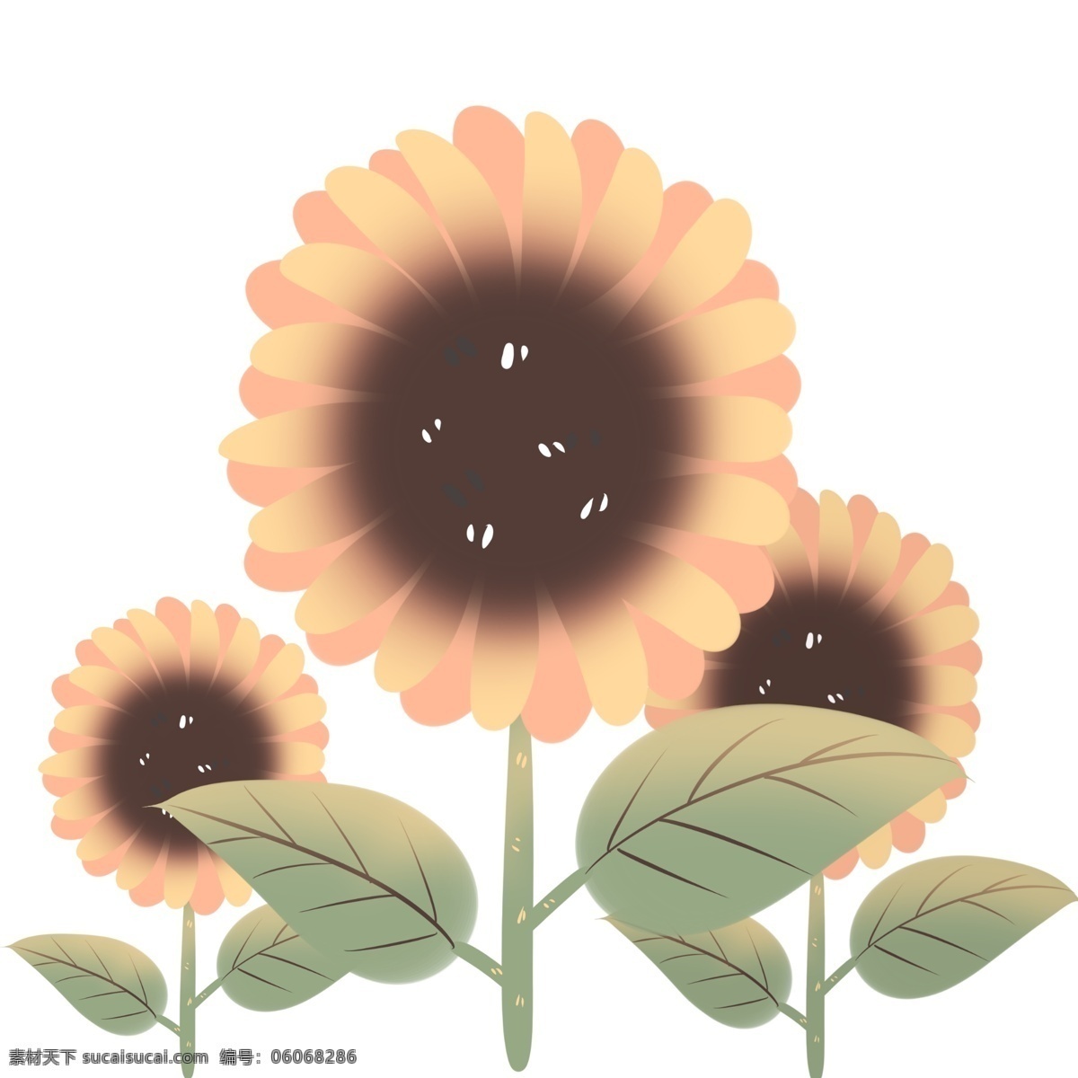 黄色 花瓣 棕色 花蕊 向日葵 清新可爱 胖胖花叶 舒服 小 清新 特色 花朵 美丽自然 创意设计 手绘 原创 手绘卡通