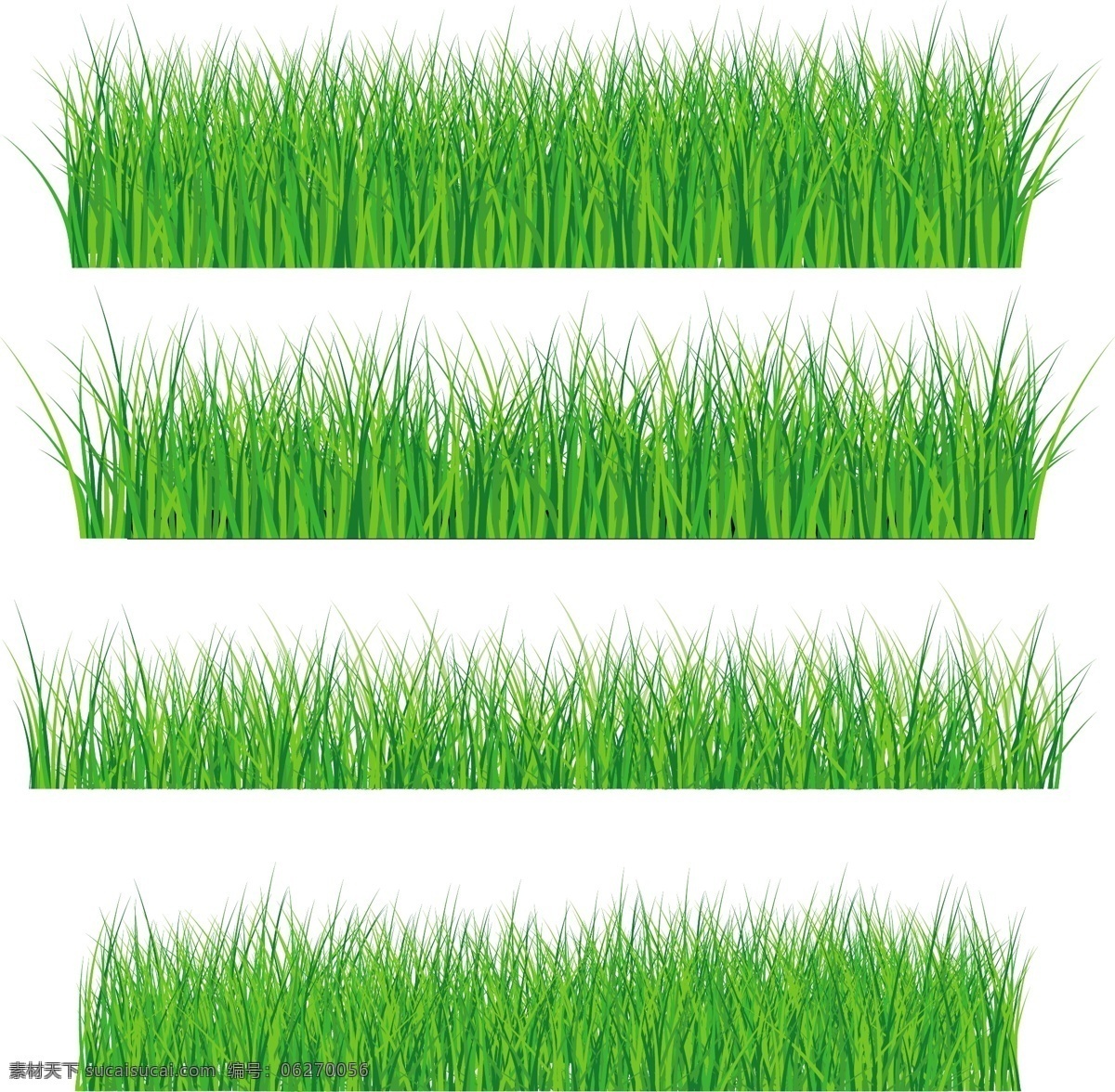向量 元素 集 绿 草 草绿色 绿色 矢量植物 绿色的草地 矢量图 其他矢量图